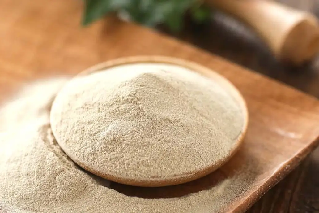 新タンパク質食材「kin-pun」